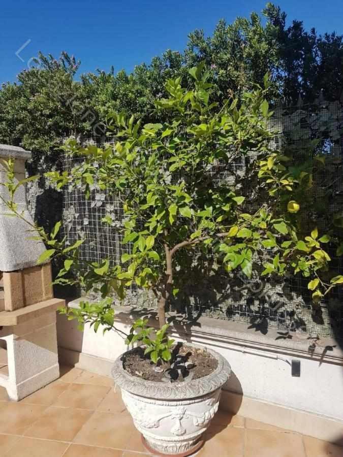 Locazione Turistica Fusillo Lorusso Con Parcheggio Privato In Loco Daire Barletta Dış mekan fotoğraf